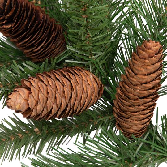 Dakota Red Pine Stem with Pine Cones